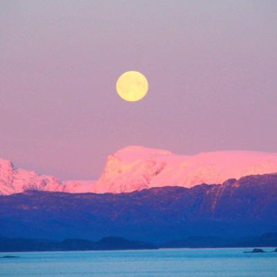 大小单双正规平台下载